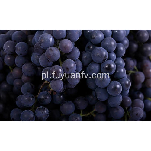 Najlepszy gatunek czerwonych winogron do eksportu